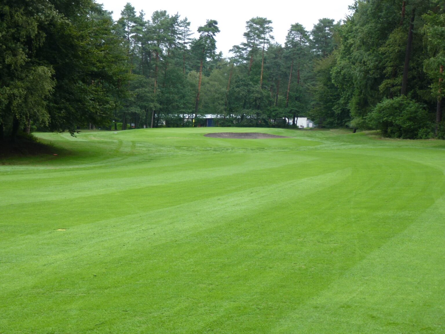 Fix Pro Golf