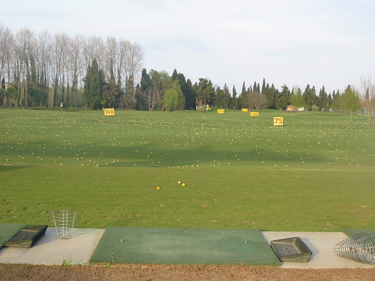 Fix Pro Golf